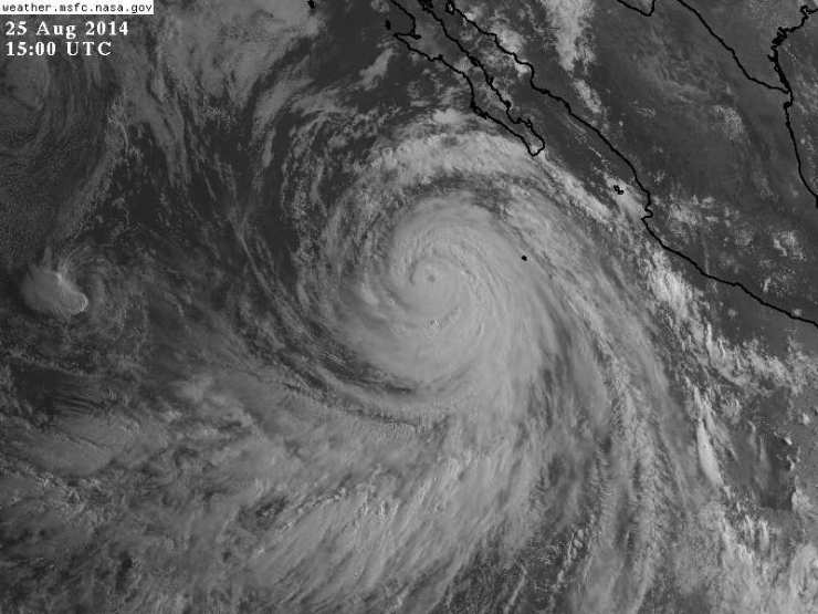Category 4 Hurricane Marie Photo: NASA